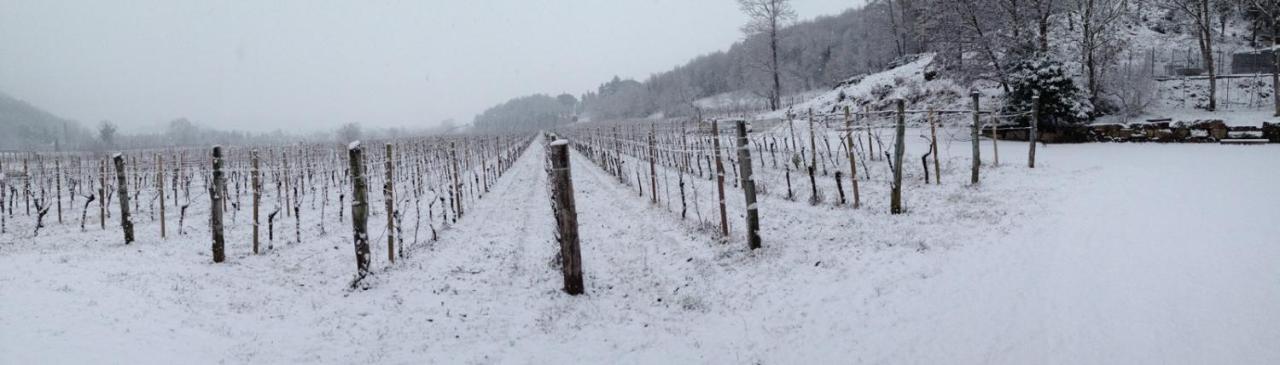 Borgo Di Corte - Alloggio Agrituristico Prestento エクステリア 写真